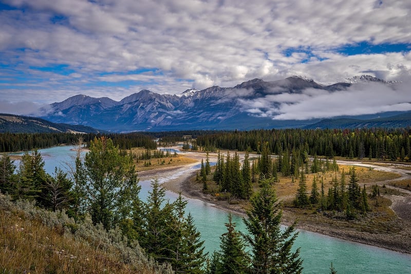Jasper National Park Stargazing