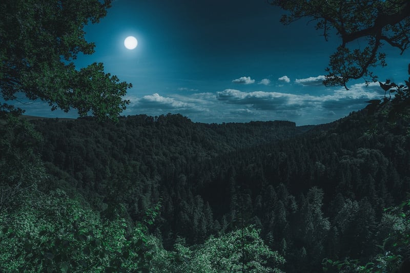 Moon-shaped Lanterns